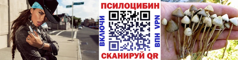 мега ТОР  Раменское  Галлюциногенные грибы Psilocybine cubensis 